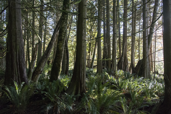 Bowen Island