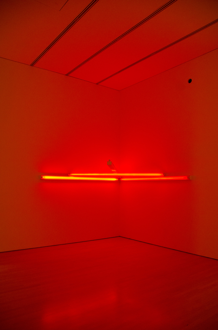 Dan Flavin