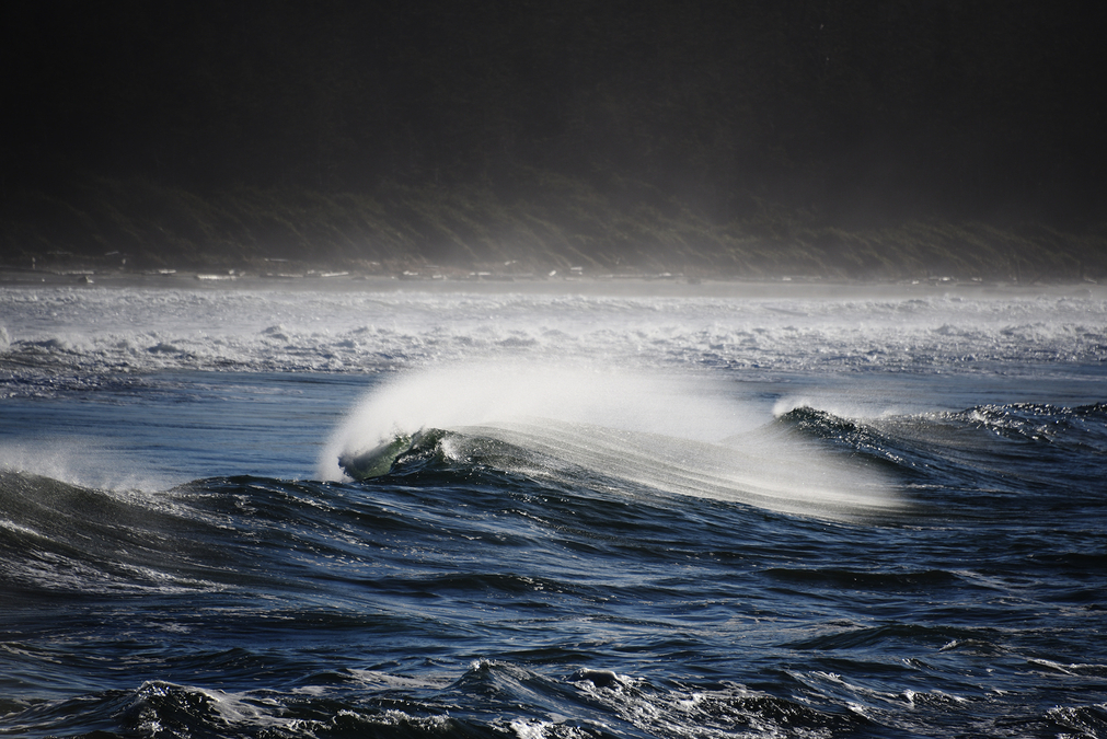 Tofino