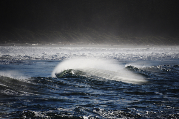 Tofino