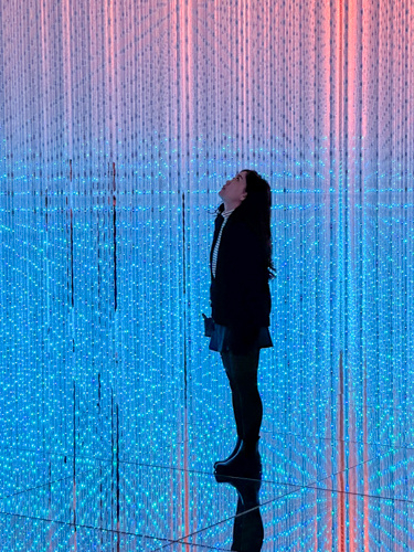 TeamLab Borderless