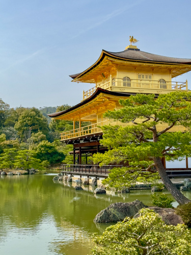 Golden Pavilion Kyoto