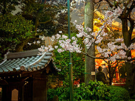 Asakusa