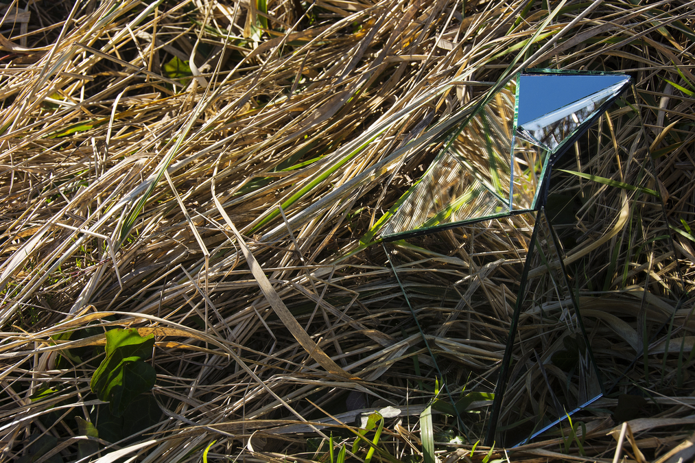 In the grass